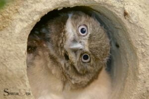 Burrowing Owl Spiritual Meaning: Spiritual Transformation!