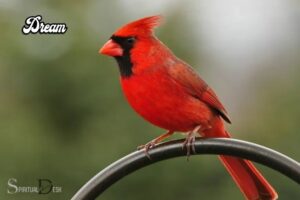 Cardinal Spiritual Meaning Dream