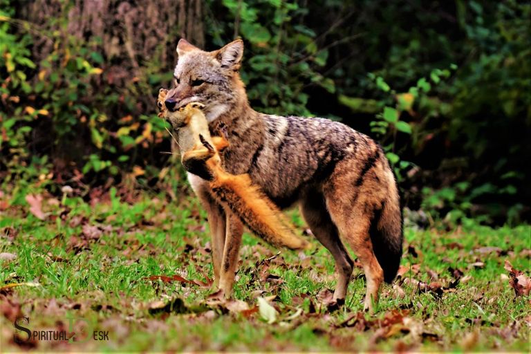 coyote reiki spiritual meaning