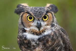 What is the Great Horned Owl Spiritual Meaning? Freedom!