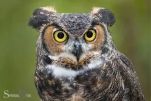 great horned owl spiritual meaning