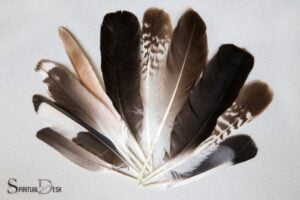 Hawk Feather Spiritual Meaning: Strength, Vision, Intuition