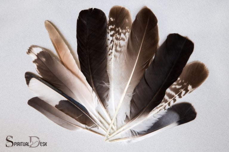 hawk feather spiritual meaning