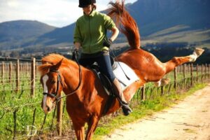 Horse Bucking Spiritual Experience: Freedom!