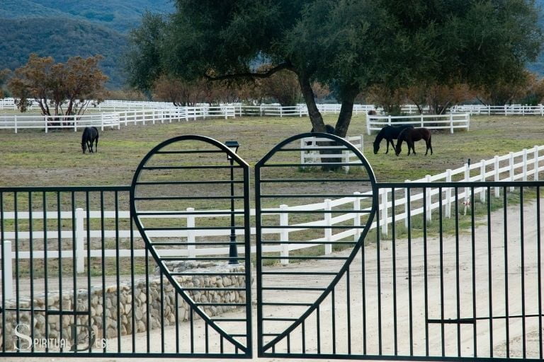 horse gate spiritual meaning