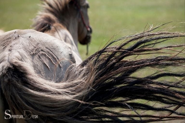 Horse Hair Bracelets by Tail Spin  Custom Horse Hair Keepsakes