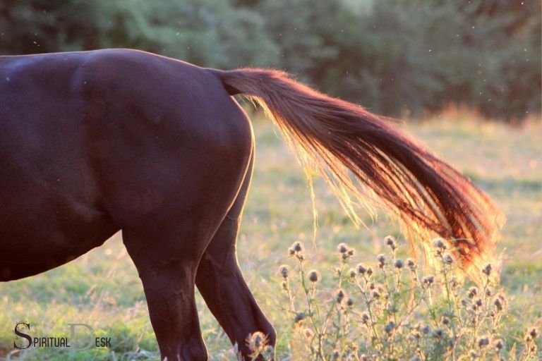 horse tail spiritual meaning