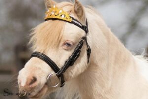 Horse With Crown Spiritual Meaning: Beyond Cloudy Judgment!