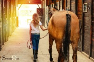 How to Spiritually Connect With a Horse? 10 Steps!