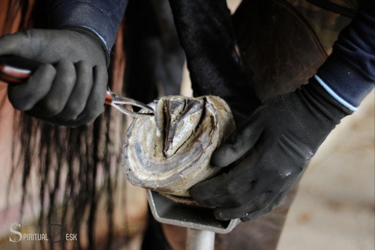 michael angelo spiritual life with horse hoof