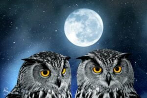 Owl Spiritual Animal Meaning: Clairvoyance!