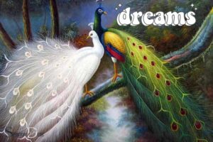 Peacock in Dream Spiritual Meaning: Beauty, Grace!