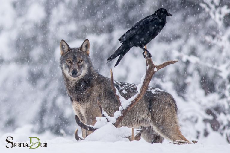 raven and wolf spiritual meaning