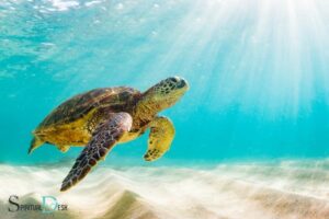 Sea Turtle Spiritual Meaning: Endurance!