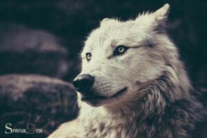 Spiritual Meaning of a Wolf