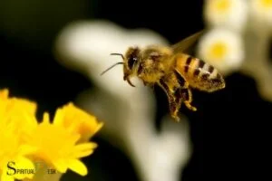 spiritual meaning of bee landing on you