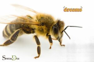 Spiritual Meaning of Bees in Dreams: Productivity!