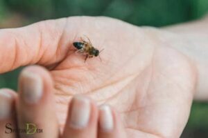 Spiritual Meaning of Being Stung by a Bee: Protection!