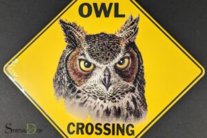 Spiritual Meaning of Owl Crossing Your Path