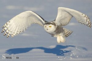 Spiritual Meaning Owl Visit: Awareness!