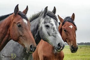 Spiritual Names for Horses: Serenity, Grace, Zen!