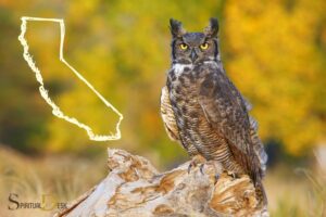 Spiritual Owl Los Angeles