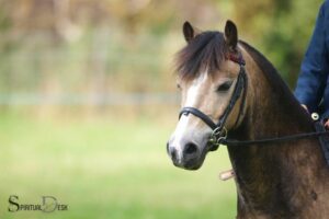 Spiritual Reassessment in All the Pretty Horses: Awakening!