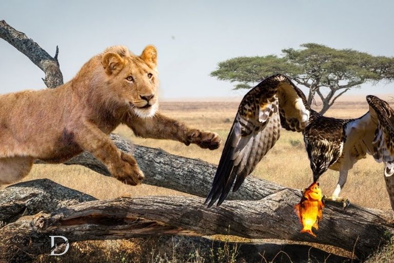 the eagle and the lion spiritual