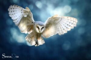 The Spiritual Owl Psychic: Personal Growth!