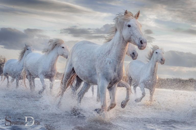 what does a white horse mean spiritually