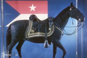 What Does an American War Horse Mean Spiritually? Strength!