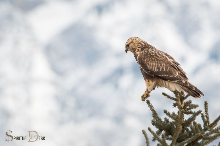 what does it mean to see a hawk spiritually