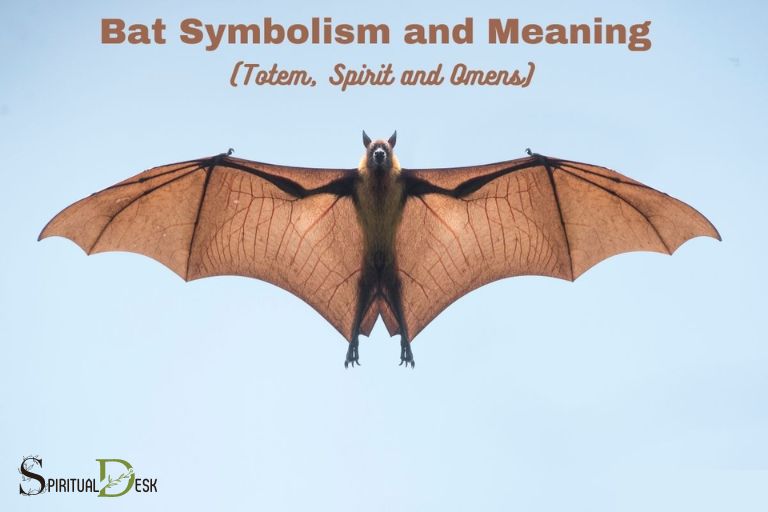 what is the spiritual meaning of a bat