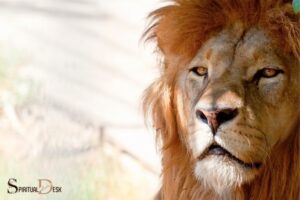 What is the Spiritual Meaning of Lion?