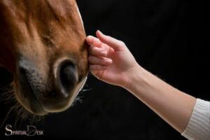 What is Your Spiritual Connection With Your Horse? Trust!