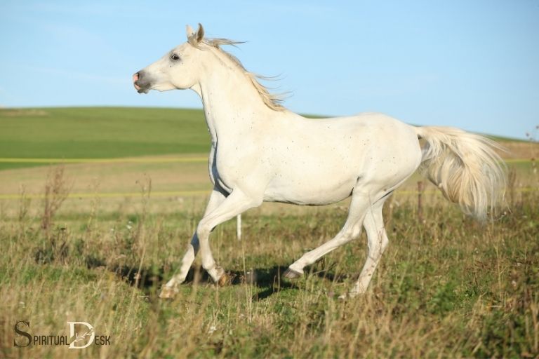 white spiritual horse one in a millio