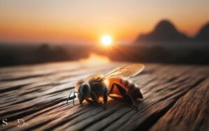 Dead Bee Spiritual Meaning: Need For A New Beginning!
