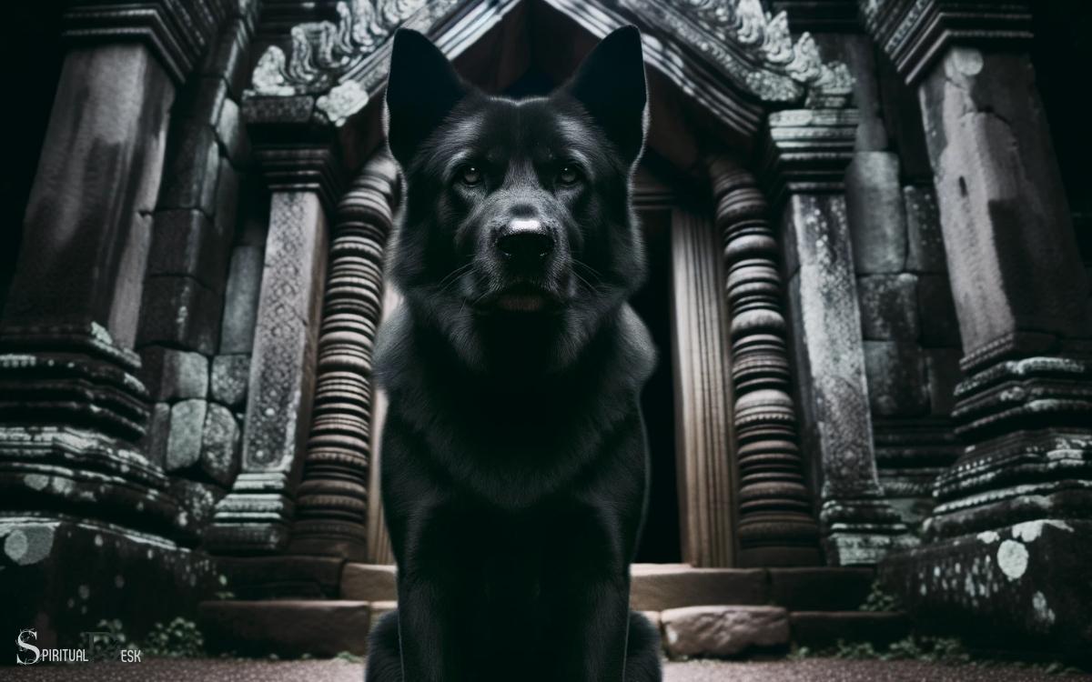 Seeing A Black Dog Spiritual Meaning  Protection!