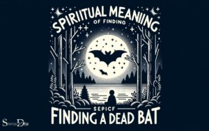 Spiritual Meaning of Finding a Dead Bat: Transformation!