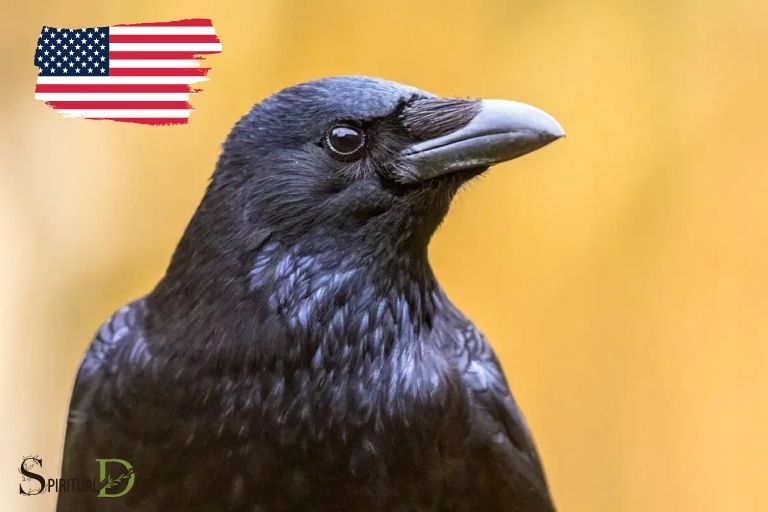 crow native american spiritual meaning