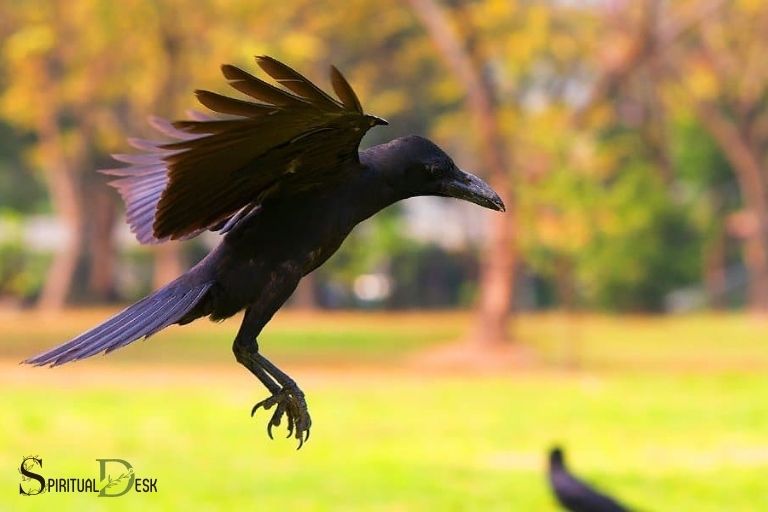 crow spiritual animal meaning