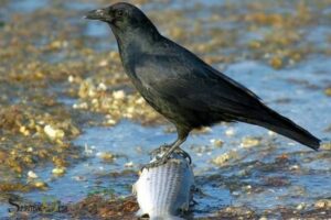 Fish Crow Spiritual Meaning: Adaptability!