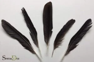 Norse Spiritual Meaning of Crow Feathers: God Odin!