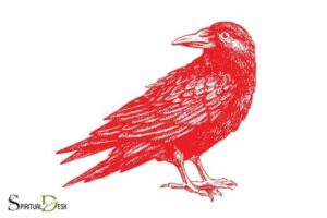 Red Crow Spiritual Meaning: Protection!