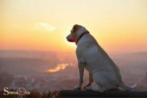 Spiritual Meaning of Dog: Loyalty, Protection!