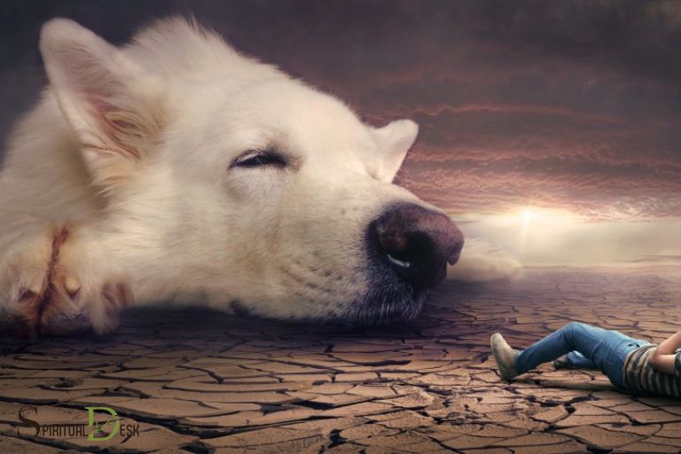 spiritual meaning of dogs in dreams