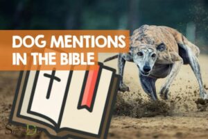 Spiritual Meaning of Dogs in the Bible: Loyalty!