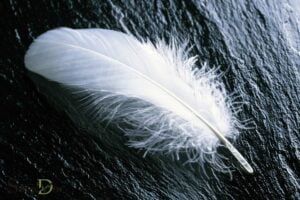 Spiritual Meaning of White Crow Feathers: Divine Protection