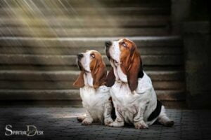 Spiritual Names for Dogs: Complete List!