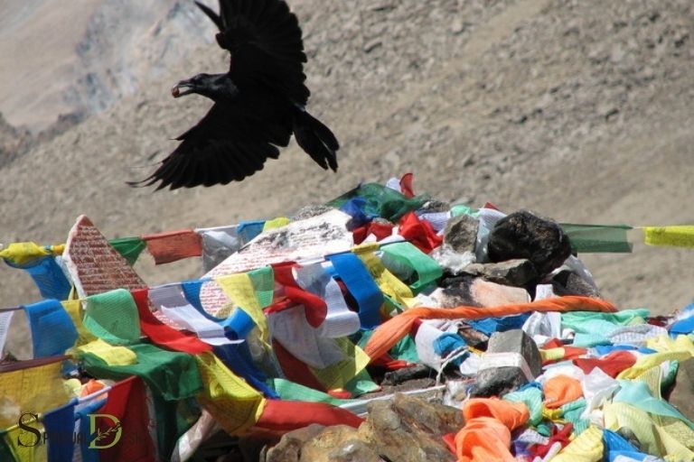 what is the significance of crow in tibetan spirituality